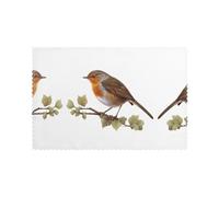 Little Robin Printed Placemat Set | 6-Piece 12x18-Inch Tablemats | Protects Tabletops from Heat