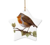 Little Robin Printed Star Shape Ceramic Pendant, Perfect for Decorating Your Home Christmas Tree for Winter Parties