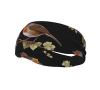 Little Robin Yoga Sports Fitness Headband, Unisex Running Basketball Elastic Headband, Sports Sweat-Absorbing Band,