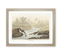 Little Sandpiper Birds By John James Audubon Vintage Framed Print | A3 Oak Framed Wall Art | Ready to Hang | Classic Nature Picture | Living Room Bedroom Lounge Office