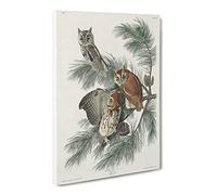 Little Screech Owls By John James Audubon Canvas Print | Gallery Wrapped 30mm Frame Wall Art | 30x20 inches | Ready to Hang | Retro Bird Picture | Living Room Bedroom Lounge Office