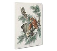 Little Screech Owls by John James Audubon Canvas Print | Gallery Wrapped 30mm Frame Wall Art | 30x20 inches | Ready to Hang | Modern Bird Picture | Living Room Bedroom Lounge Office