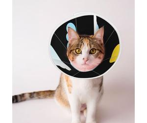 Little Sheep On The White Cloud Elizabeth Circle Pet Cone Cat Neck Adjustable Dog Pet Ring Accessory