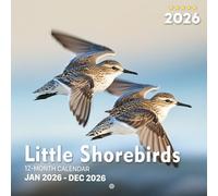 Little Shorebirds 2026 Calendar: Tiny Birds in Coastal Scenes