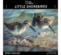 Little Shorebirds Calendar 2026: A Year of Tiny Shorebirds on the Beach