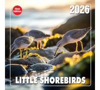 Little Shorebirds Calendar 2026: Coastal wanderers featured in natural habitats