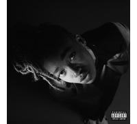 LITTLE SIMZ - Grey Area - Vinyl (gatefold white vinyl LP + MP3 download code)