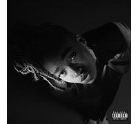 LITTLE SIMZ - Grey Area - Vinyl (gatefold white vinyl LP + MP3 download code)