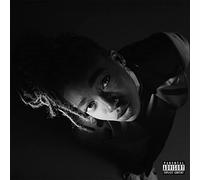 LITTLE SIMZ - Grey Area - Vinyl (gatefold white vinyl LP + MP3 download code)