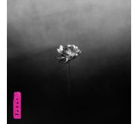 Little Simz - Lotus