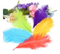 Little Snow Direct 10PCS Ostrich Feathers Plumes Fluffy 8-10 Inches Long - Mixing Colours