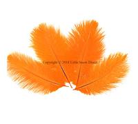 Little Snow Direct 5PCS Ostrich Feathers Plumes Fluffy 12-14 Inches Long - Orange