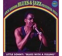 Little Sonny - Blues With a Feeling Vol. 2 An