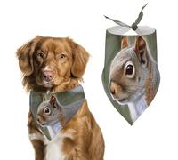 Little Squirrel Dog Bandana Triangle Pet Bandanas Adjustable Pet Scarf Breathable Comfort Dog Scarf Cute Soft Puppy Scarfs Washable Daily Handkerchief Cats Scarves