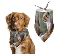 Little Squirrel Dog Bandanas Adjustable Bib Handkerchief Party Pet Decorations Cute Dog Triangle Scarfs for Small Medium Puppy Cat Costume Accessory