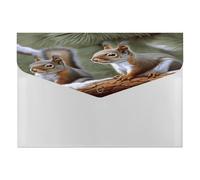 Little Squirrel File Folder with Snap&6 Pockets Reusable File Organizer Portable Document Paper Bill Receipt Organizer Plastic Envelopes for Office College Letter Size