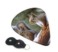 Little Squirrel Guitar Picks 6 Pack with Leather Guitar Pick Holder Keychain, Plectrum Key Fob Cases Bag, Abstract Art Plectrum for Acoustic Electric Guitar, Ukulele 0.46mm