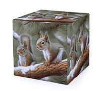 Little Squirrel Magic Cube,The Original 3x3 Cube,Speed Cube Problem-Solving Brain Teaser,Easy Turning Sensory Puzzle Toy,Sensory Stress Relief Form Fidget Toys