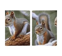 Little Squirrel Passport Holder Travel Wallet Slim Minimalist Front Pocket Leather Credit Card Holder Passport Wallet Cover Case for Travel Must Haves Accessories