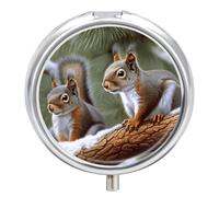 Little Squirrel Pill Box Small Round Pill Case Portable Travel Pill Container Multi-Functional Moisture Proof Metal Medicine Pill Organizer Box for Vitamins Fish Oil