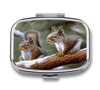 Little Squirrel Pill Organizer with 2 Compartments Metal Square Pill Case Small Pill Box Portable Medicine Box Slim Travel Pill Container Medicine Organizer for Daily Use
