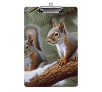Little Squirrel Plastic Clipboard with Storage Office Acrylic Clipboards Low Profile Clip Clear Clip Boards Basics Letter Size Hardboard for Nurses,Teachers