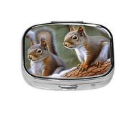 Little Squirrel Print Pill Box with 2 Compartment Round Pill Case Portable Travel Pillbox Small Medicine Organizer for Pocket Purse Vitamins