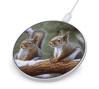 Little Squirrel Wireless Charger Fast Charging Pad 10W Qi Certified Wireless Charging Pad for Most Enabled Phones Portable Slim for the