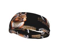Little Squirrel Yoga Sports Fitness Headband, Unisex Running Basketball Elastic Headband, Sports Sweat-Absorbing Band,