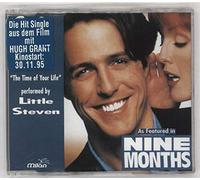 Little Steven - The Time of Your Life
