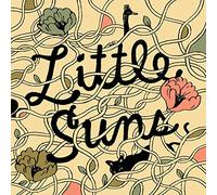 Little Suns - Normal Human Feelings [VINYL]