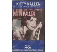 Little Things Mean Alot [CASSETTE]