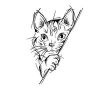 Little Tiger Men And Women Herbal Temporary Tattoo Sticker, Semi-permanent Non-reflective, Waterproof And Lasting 2 Weeks, Fake Tattoos(1pcs)