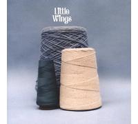 Little Wings - The Wonder City