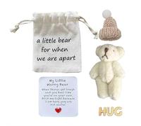 Little Worry Bear Hug in Box with a Hat, Adorable Mini Plush Pocket Bears with Encouraging Card Cute Inspirational Doll Positive Gifts for Kids (White)