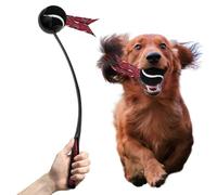 Littlearth NCAA Pet Ball Launcher South Carolina Fighting Gamecocks