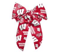 Littlearth NCAA Wisconsin Badgers Big Bow Hair Clip
