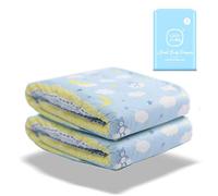 LittleForBig 5500-5800 ml Adult Printed Diaper 2 Pieces - Little Dreamers (M)