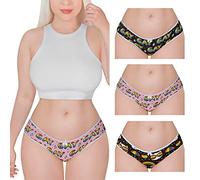 LittleForBig Soft Cotton Underwear Comfortable Hipster Briefs 3 Pack Panties Set LGBTQ+ Friendly - Gay Pride Panties Pack Multicolor XXXXL
