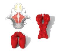 LittleMum Trapezius Trigger Point Massager. Myofasical Release Neck and Shoulder Pain, Suboccipital Release Tool, Posture Corrector, Relieve Upper Back Pain &Tension Headache