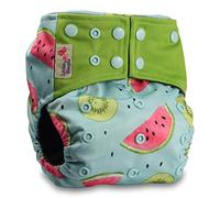 Littles & Bloomz, Reusable Pocket Real Cloth Nappy Washable Diaper Bamboo Charcoal, Pattern 20, with 2 Charcoal Inserts