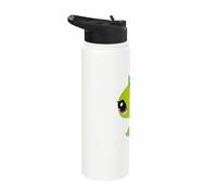 Littlest Pet Shop Iguana Stainless Steel Insulated Water Bottle