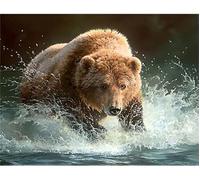 Lituor Underwater Bear Paint by Numbers for Adults,Without Frame 40x50cm Paint by Numbers,DIY Paint by Numbers Beginners with Brushes and Acrylic Pigment Canvas Oil Painting for Home Wall Decoration