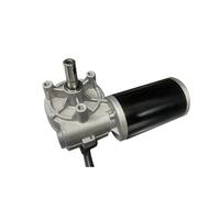 LIUCH Small Size 12V 24V Worm Gear Forward And Reverse Left Angle Electrical Worm Gear Brushed DC Motor(100,24V)