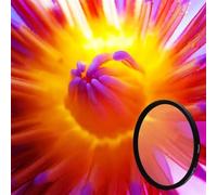 LIUDONGX Close Up Macro Filter +1 +2 +4 +10 Close-UP 37MM 40.5MM 43MM 49MM 52MM 55MM 58MM 62MM 67MM 72MM 77MM(62mm,Close up 2X)