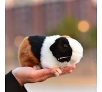 LIUHONGFEI Simulation Three-Color Hamster Plush Toy. Stuffed Animal. Guinea Pig Doll. Squeaks When The Body is Squeezed. (The Three-Color Hamster Cannot Make a Sound.)