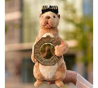 LIUHONGFEI Yellow Weasel for Warding Off Evil Spirits and Protecting The House. Exorcising Evil. Yellow Weasel Plush Toy. Stuffed Animal. Magical Instrument. (Holding a Bronze Mirror in Hand.)