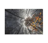 Liulannq Sky Through The Tree Develop Thinking Enlightenment Education Rectangular Building Block Puzzle, Children'S Health Toy