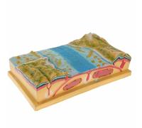 LIULIQ 3d Plate Tectonics Model & Seabed Topography Display Set, Scientific Plate Tectonics Model Kit, 44 * 24 * 12cm, Demonstrate Formation Of Volcanic Earthquake, For Geology Teaching Aids