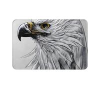 LiuMng Sketching an Eagle Winter Doormat 16x24 Inch - Water-Absorbent Non-Slip Door Mats for Front Back Door/Welcome Mat